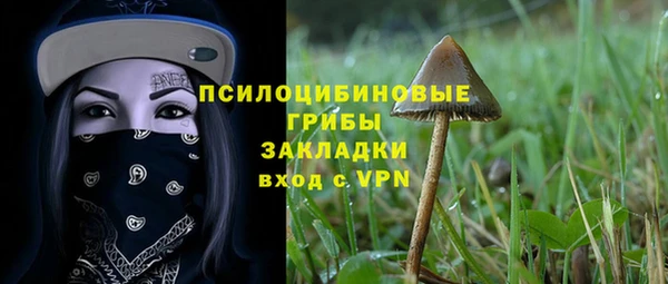 круглые Алексеевка
