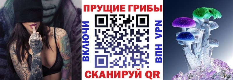 omg зеркало  Сосенский  Псилоцибиновые грибы мухоморы 