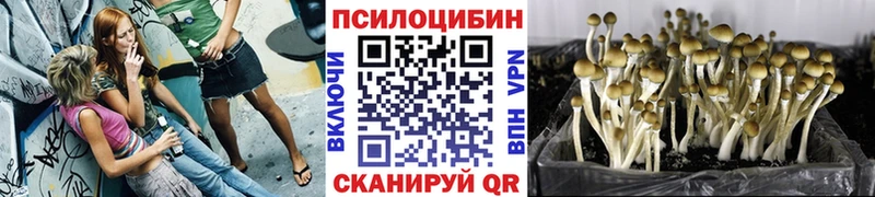 Псилоцибиновые грибы ЛСД Сосенский